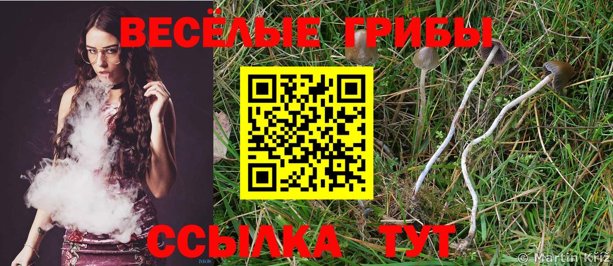 Майкоп  Галлюциногенные грибы мицелий  Вход с VPN 
