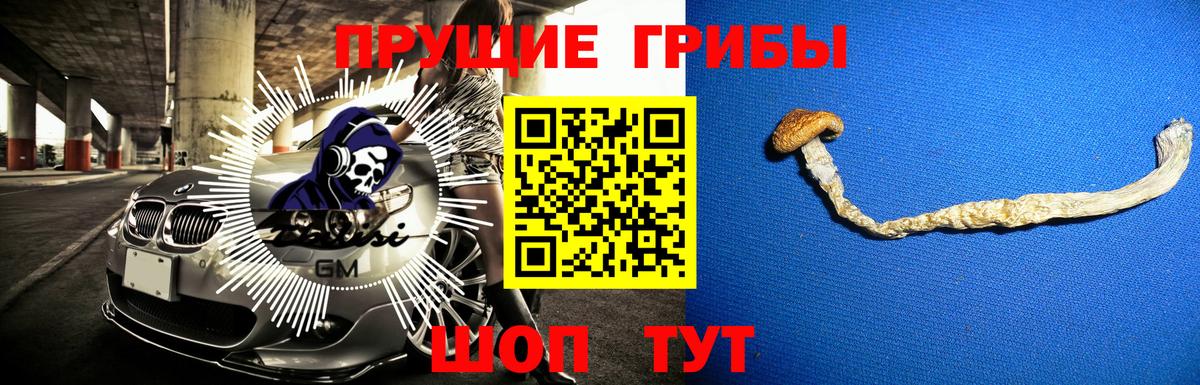 Галлюциногенные грибы мухоморы Майкоп